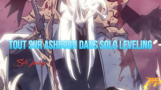 Tout sur Ashborn dans Solo Leveling
