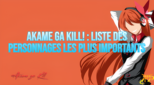Akame ga Kill! : liste des personnages les plus importants