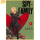 Poster Nocturna - Spy x Family™