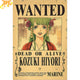 Poster Wanted Hiyori - One Piece™