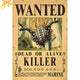 Poster Wanted Killer - One Piece™