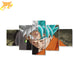 Tableau Goku x Black - Dragon Ball Z™